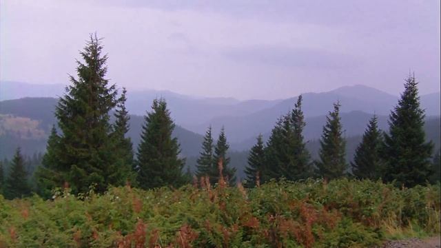 Говерла смотреть онлайн