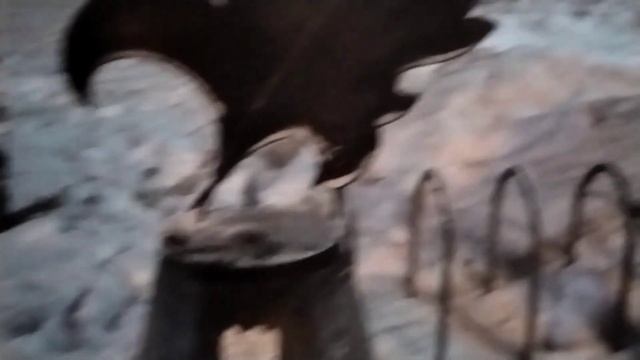 Вечерний Красноярск 2023 год. смотреть онлайн