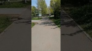 Моя новая прогулочка по Невскому району