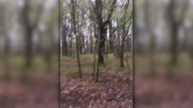 Слендермен смотреть онлайн