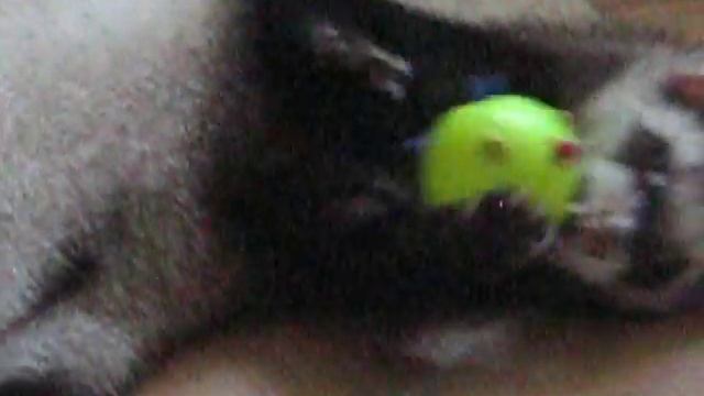 после душа.avi смотреть онлайн