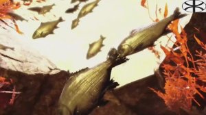 Far Cry 4 (3)