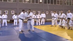 Видео 11 Евгений Кулдин - Подсечка изнутри (Ко-учи-гари)
