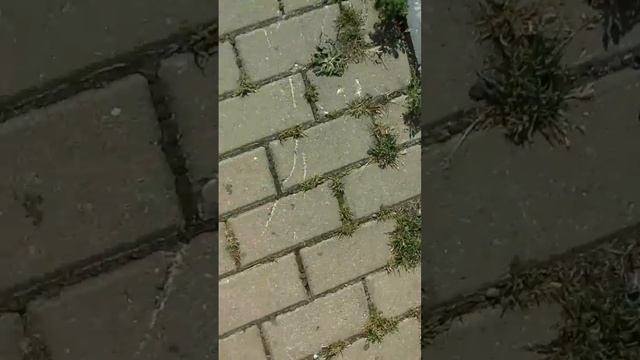 черное платье фильм смотреть онлайн