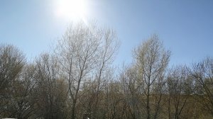 майнкрафт 4 серия начало