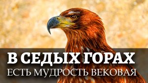 В седых горах есть мудрость вековая