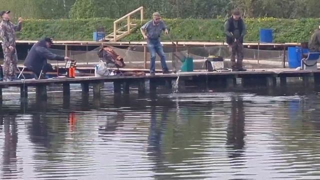 17-05-2025 смотреть онлайн