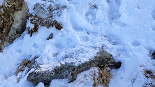 Карпати. Зимове сходження на гору Говерлу. 18.12.2020 смотреть онлайн