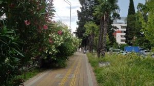 Сочи / Прогулка по городу