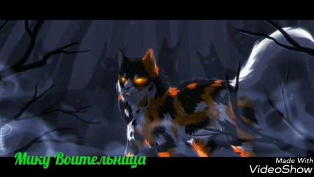 "Коты-Воители"-Кленовница смотреть онлайн