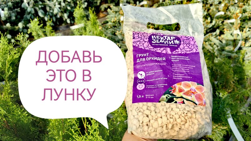 Добавьте эти камни в лунку при посадке