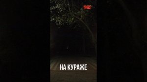 На кураже