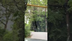 ПАРКОВЫЙ СПУСК КОРЕИЗ