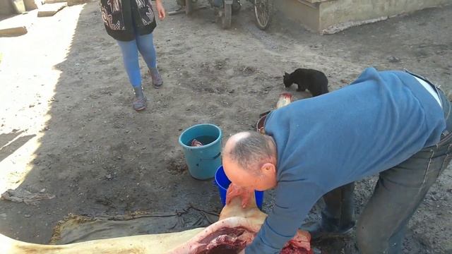 МИ ЗАРІЗАЛИ СВИНЮ: #рекомендации смотреть онлайн