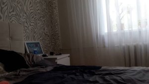 Одежда для кота Басика