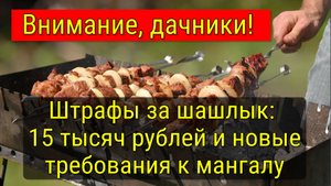 Штраф до пятнадцати тысяч рублей за неправильный шашлык: новые правила в 2025