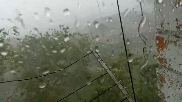 Сильная буря-ураган с дождем в подмосковье орехово-зуево ликино-дулево