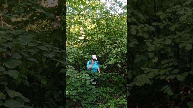 Могутка Hiking смотреть онлайн