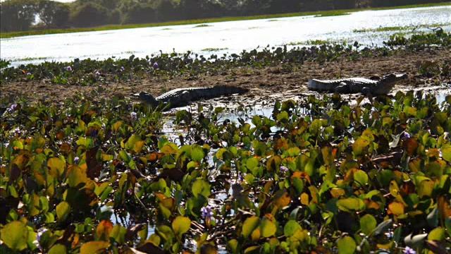 анхель 2 смотреть онлайн