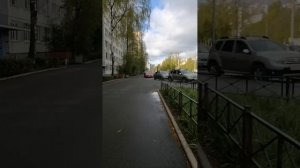Гулянка утренняя перед тренировкой