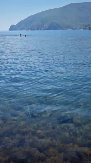 Шикарная погода в Утесе вид на Аю-Даг. Дайвинг в Алуште - Дайв-центр Megadiving дайвингвалуште