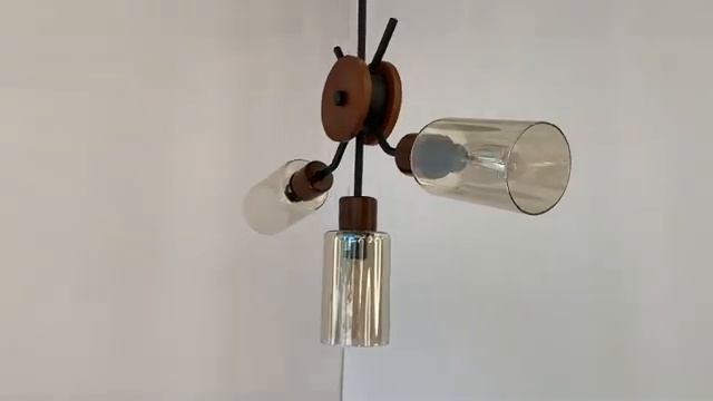 Потолочная люстра Lumion County Fern 4492/5C