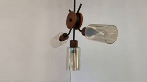 Потолочная люстра Lumion County Fern 4492/5C