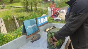 Отзыв о рыбалке Каньон.