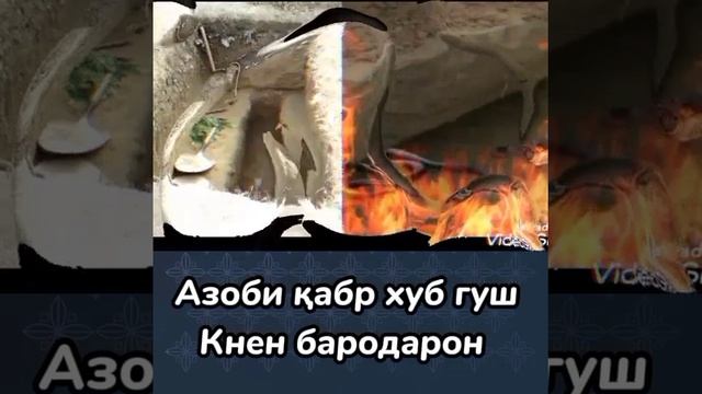 АЗОБИ КАБР ХУБ ГУШ КНЕН ДОМУЛЛО АБДУЛКОДИР domullo abdulkodir official YouTube #домуллоабдулкодир смотреть онлайн