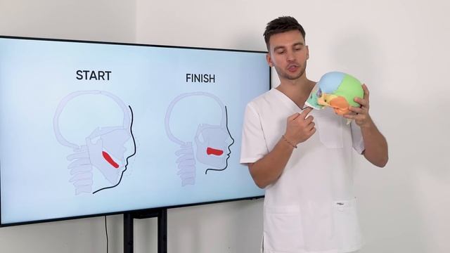 Результат МЬЮИНГА за 1 ГОД! / Как сделать красивые скул? смотреть онлайн