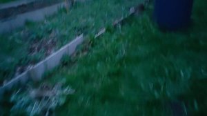 Первая ночёвка в этом году!