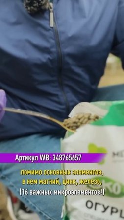 Никогда не выбрасываю такие пакеты! А сажаю в них огурцы и урожай получаю на 2 недели раньше!