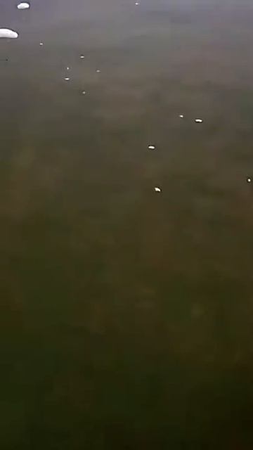 Ох уж эта армия смотреть онлайн