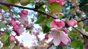 Полное фиаско😔