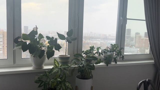 Вторая жизнь шубы профессорской жены. 🧥 Ни один карак смотреть онлайн