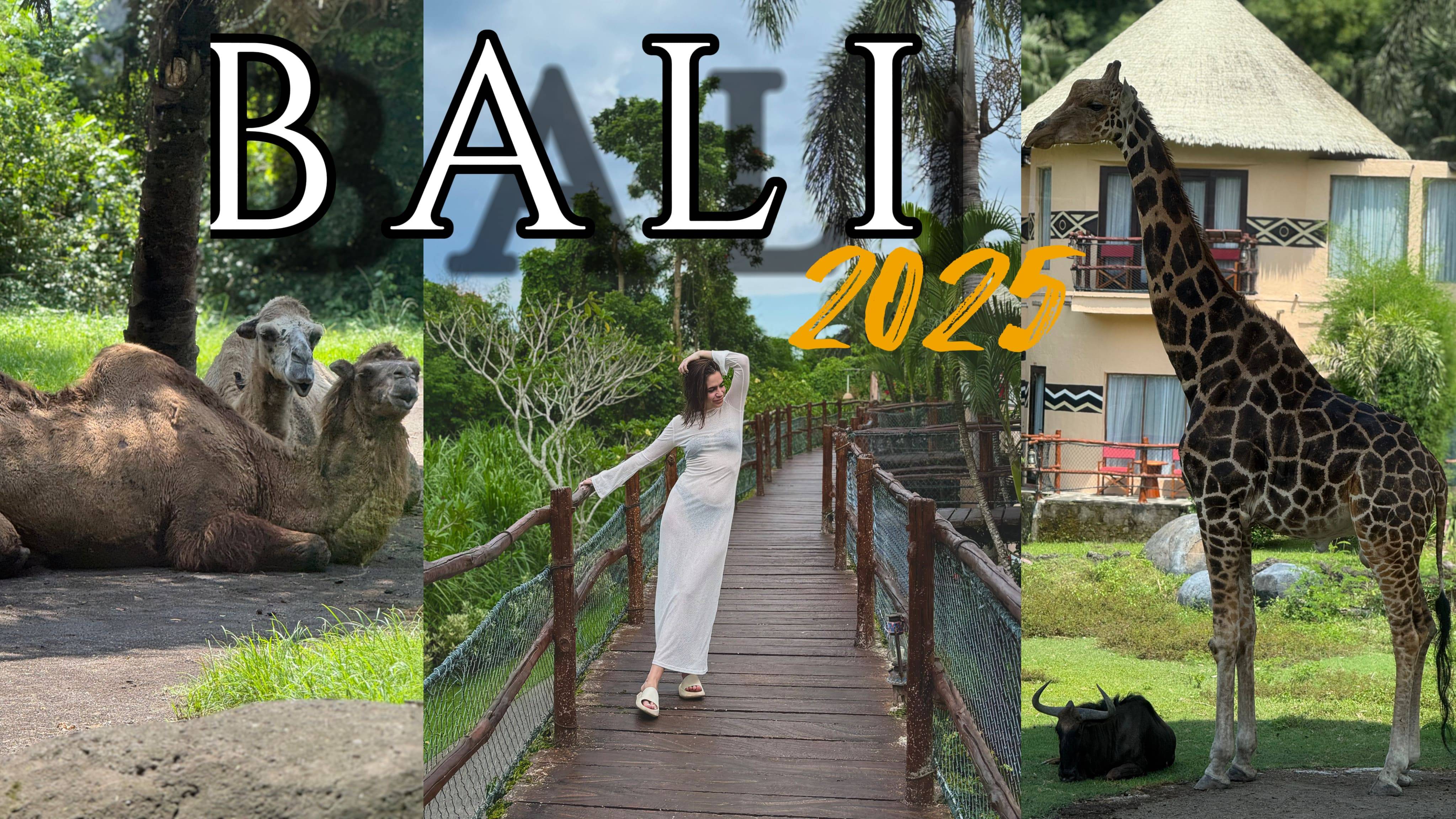 BALI 2025|Часть 1|перелет Москва-Денпасар|Bali Safari and Marine Park|обзор отеля