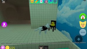 как получить скин кота акулы в игре с котятами #roblox #иг?