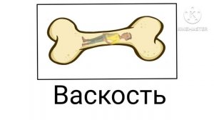 Царевны + ШИЗА =