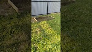 VID_20250517_182230.mp4