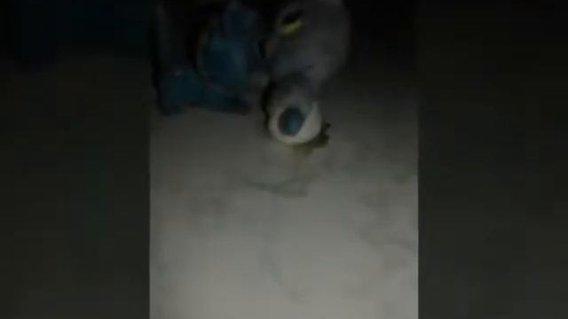 Телепузик и песня GO HARD LA LA LA смотреть онлайн