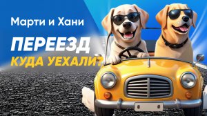 ПЕРЕЕХАЛИ ИЗ АНАПЫ В ВОРОНЕЖ С ДВУМЯ СОБАКАМИ / ВЛОГ / МАЗУТ ИЛИ НАДОЕЛО МОРЕ? / ИЗ КВАРТИРЫ В ДОМ