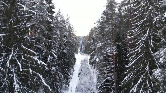 Зима 2021 (DJI Mavic Air 2) смотреть онлайн