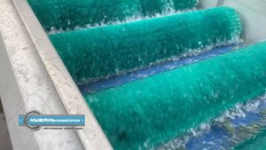 Машина моечная (щеточная) / ООО "Кубаньпищепром"