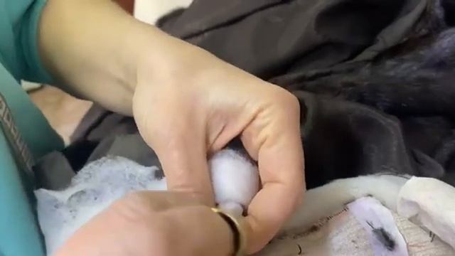 Замена старых крючков на шубе смотреть онлайн