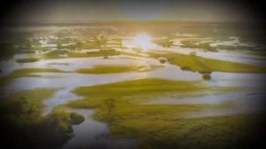 А на меньшее я не согласен    Николай Носков