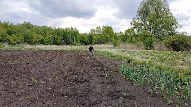 Здоровье и огородничество