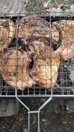 сезон мясных угольков открыт