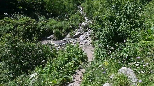 Приют Фишт. 27-29 июля 2023 года. смотреть онлайн