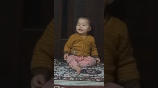 Ормонбеков Санжарбек Эмилбекович 26.10.1986 архив видео 2022 ноябрь смотреть онлайн