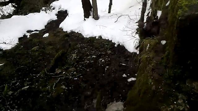 На сколько парой прекрасной может быть наша природа)) смотреть онлайн